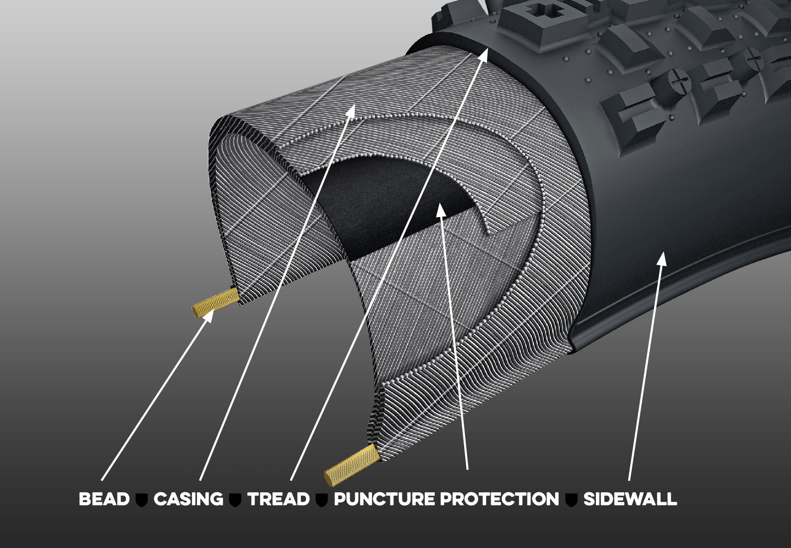 Maxxis Basic Tire Construction 